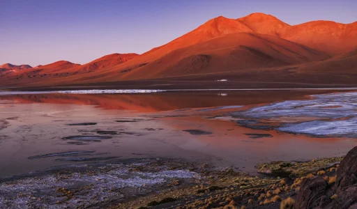 Laguna Colorada