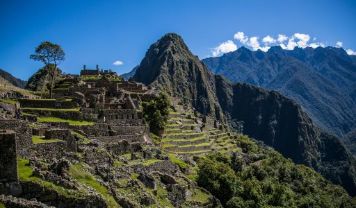 pexels-mariacamila-7343983